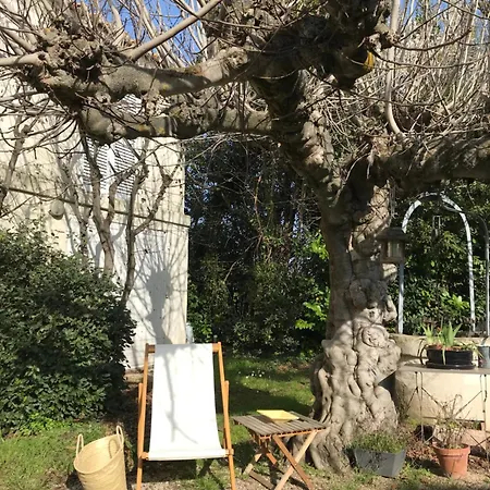Des Figuiers Holiday home Arles
