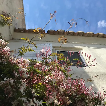 Holiday home Des Figuiers *